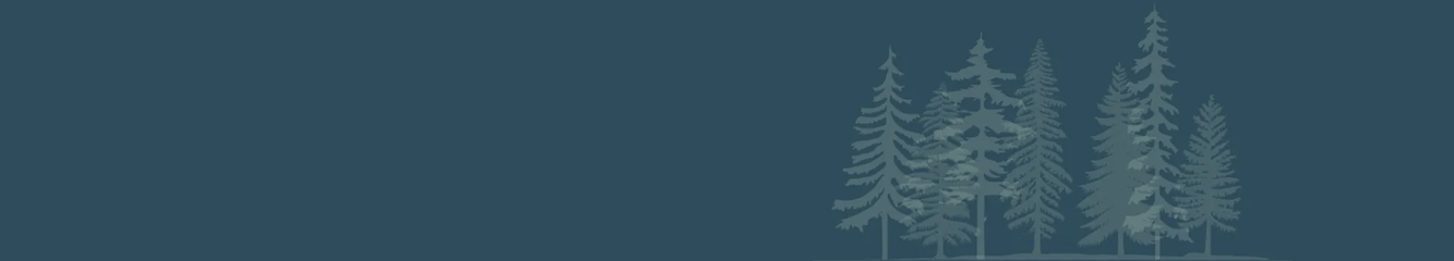 nubsonlawbackground Getting Started with Nubson Law