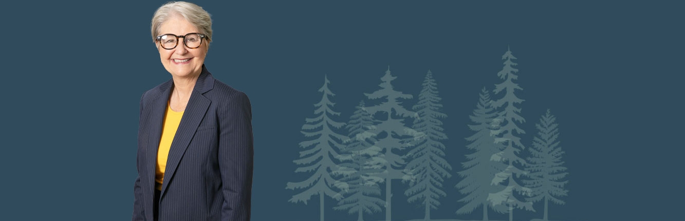 nubson-law-background